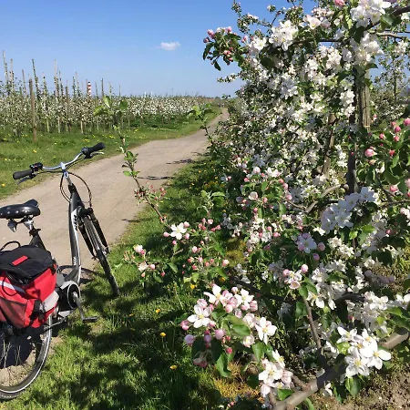 Lueheblick Im Haus Luehegarten *
