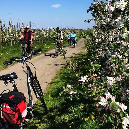 Lueheblick Im Haus Luehegarten * Grünendeich