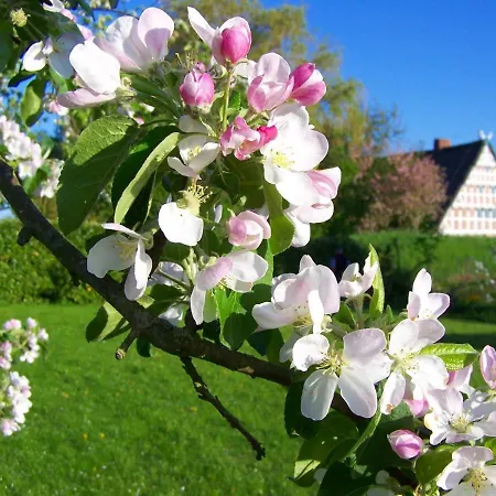 Lueheblick Im Haus Luehegarten