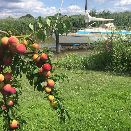 Lueheblick Im Haus Luehegarten דירה Grünendeich