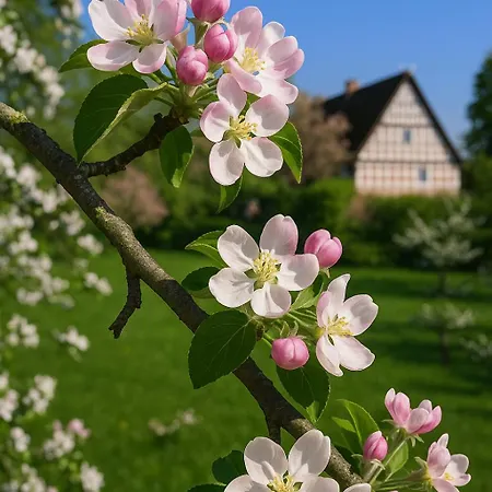 Lueheblick Im Haus Luehegarten *