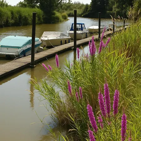 Lueheblick Im Haus Luehegarten * Grünendeich