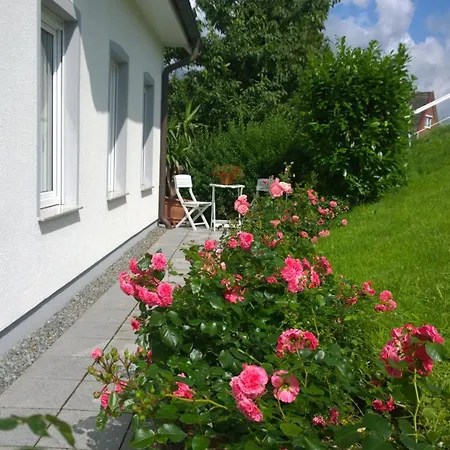 Lueheblick Im Haus Luehegarten Gruenendeich