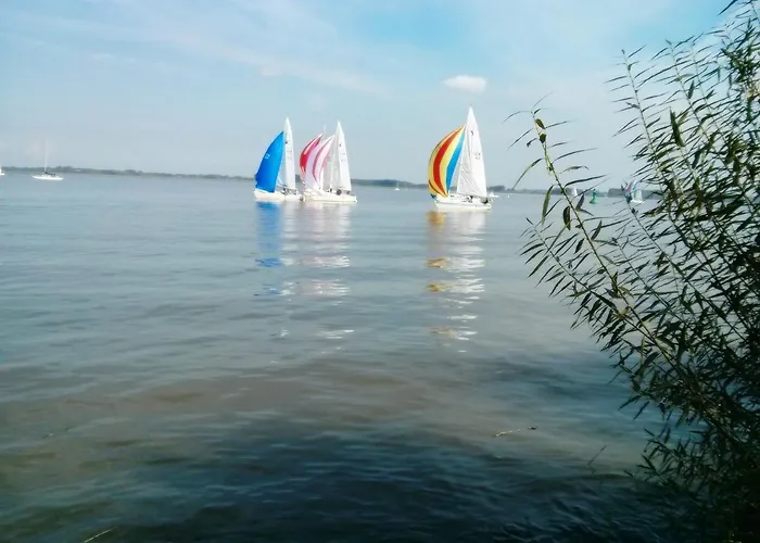 Lueheblick Im Haus Luehegarten * Grünendeich