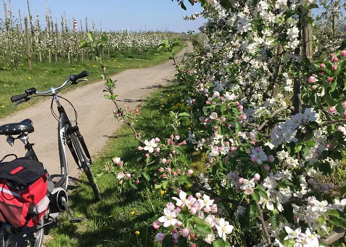 Lueheblick Im Haus Luehegarten *