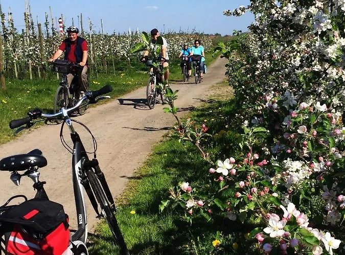 Lueheblick Im Haus Luehegarten * Grünendeich