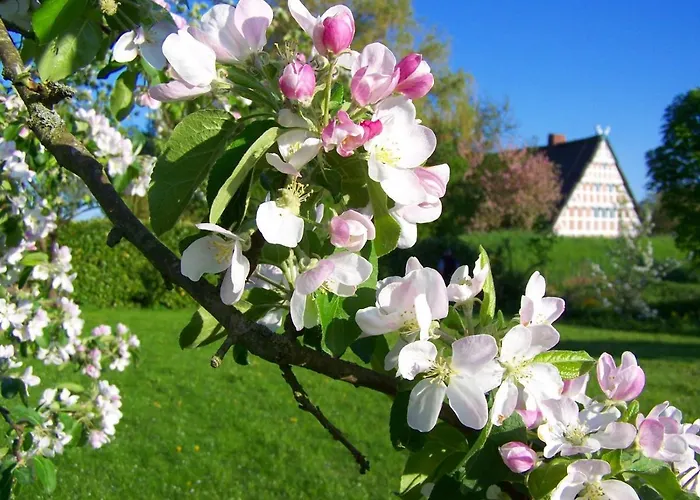 Lueheblick Im Haus Luehegarten