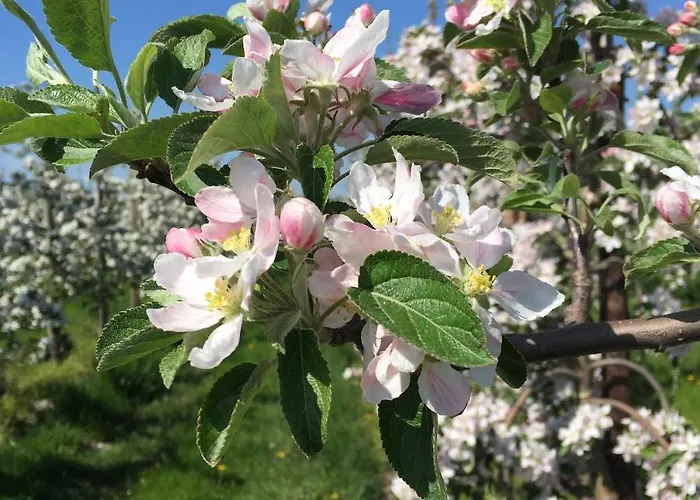 Lejlighed Lueheblick Im Haus Luehegarten