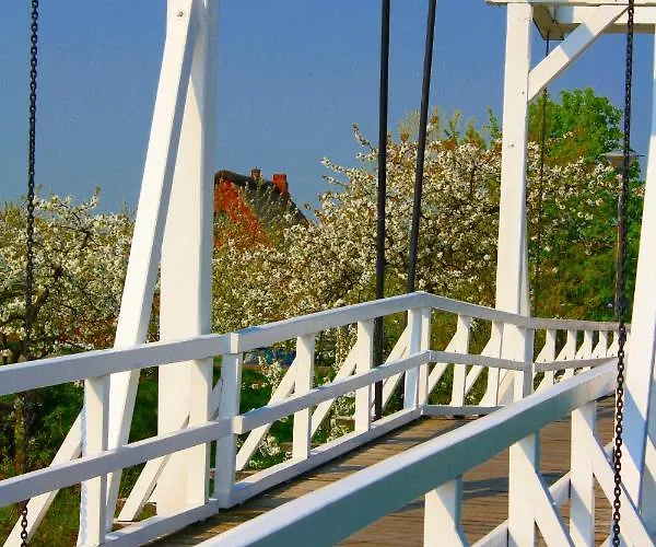 Lueheblick Im Haus Luehegarten Grünendeich