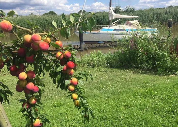 Lueheblick Im Haus Luehegarten Apartamento Grünendeich