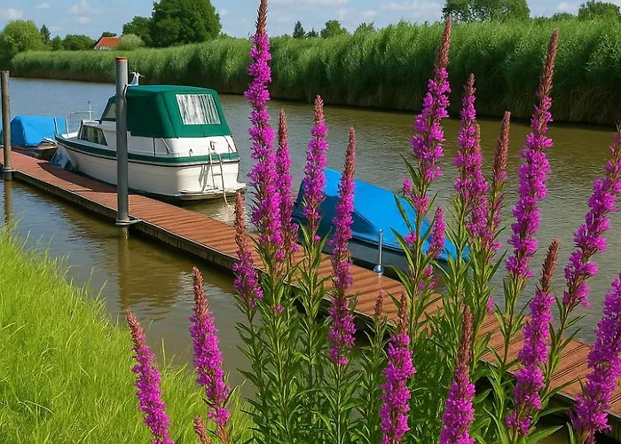 Lueheblick Im Haus Luehegarten *