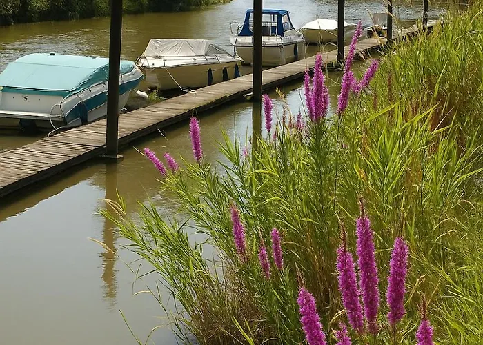 Lueheblick Im Haus Luehegarten * Grünendeich