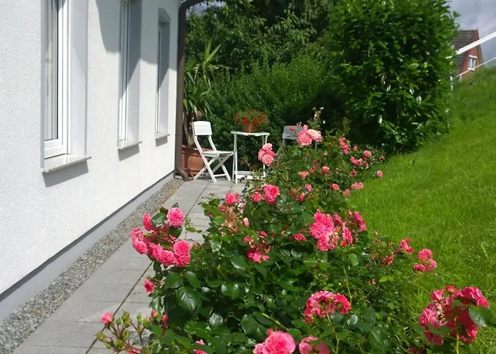 Lueheblick Im Haus Luehegarten Grünendeich